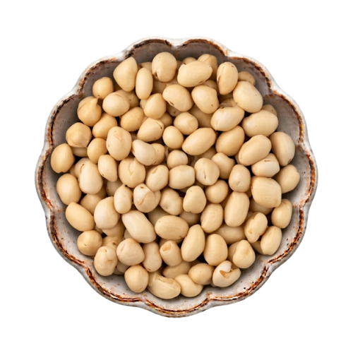 Bambara Beans