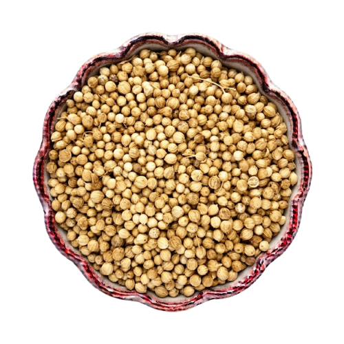 Coriander