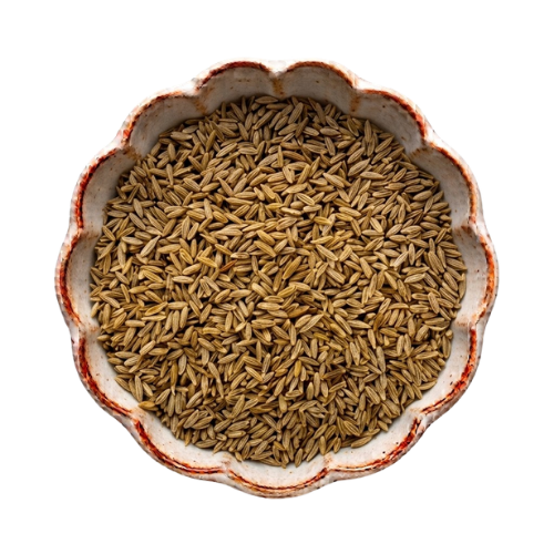 Coriander Cumin