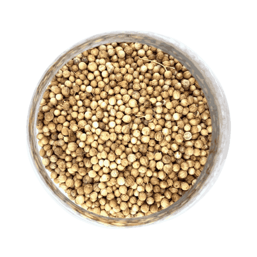 Coriander