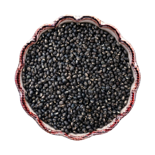 Urad Bean (Black Gram)
